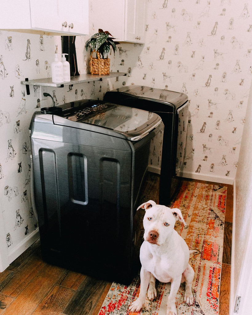wallpaper dog laundry room