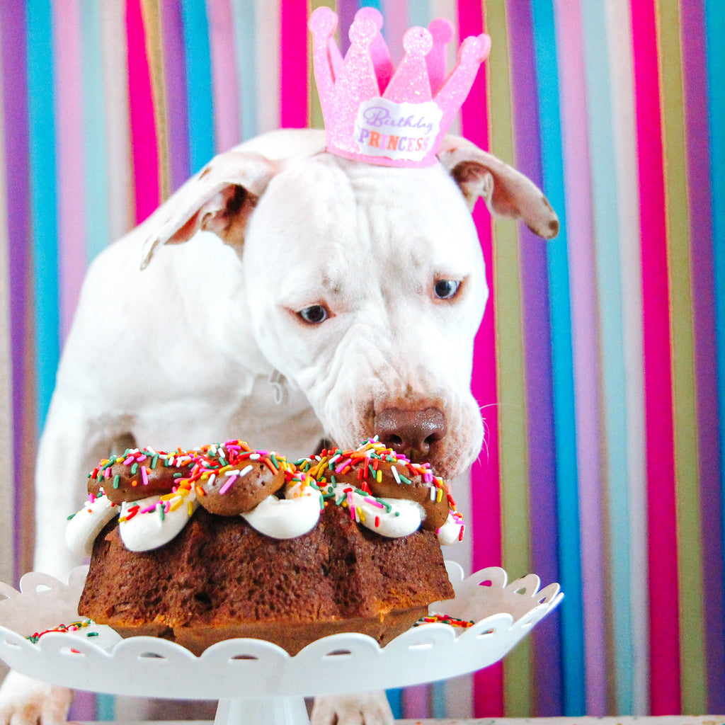 Peanut Butter Dog Birthday Cake Recipe