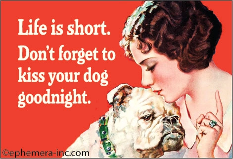 Magnet: Life is short, don't forget to kiss your dog - Treat Dreams